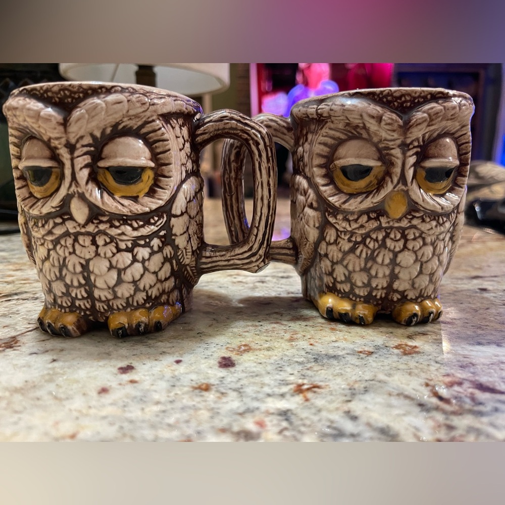 Vintage Brown Owl Ceramic Coffee Mug - Set of 2